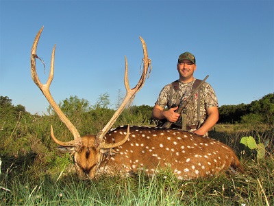 Hunt Texas for trophy axis deer